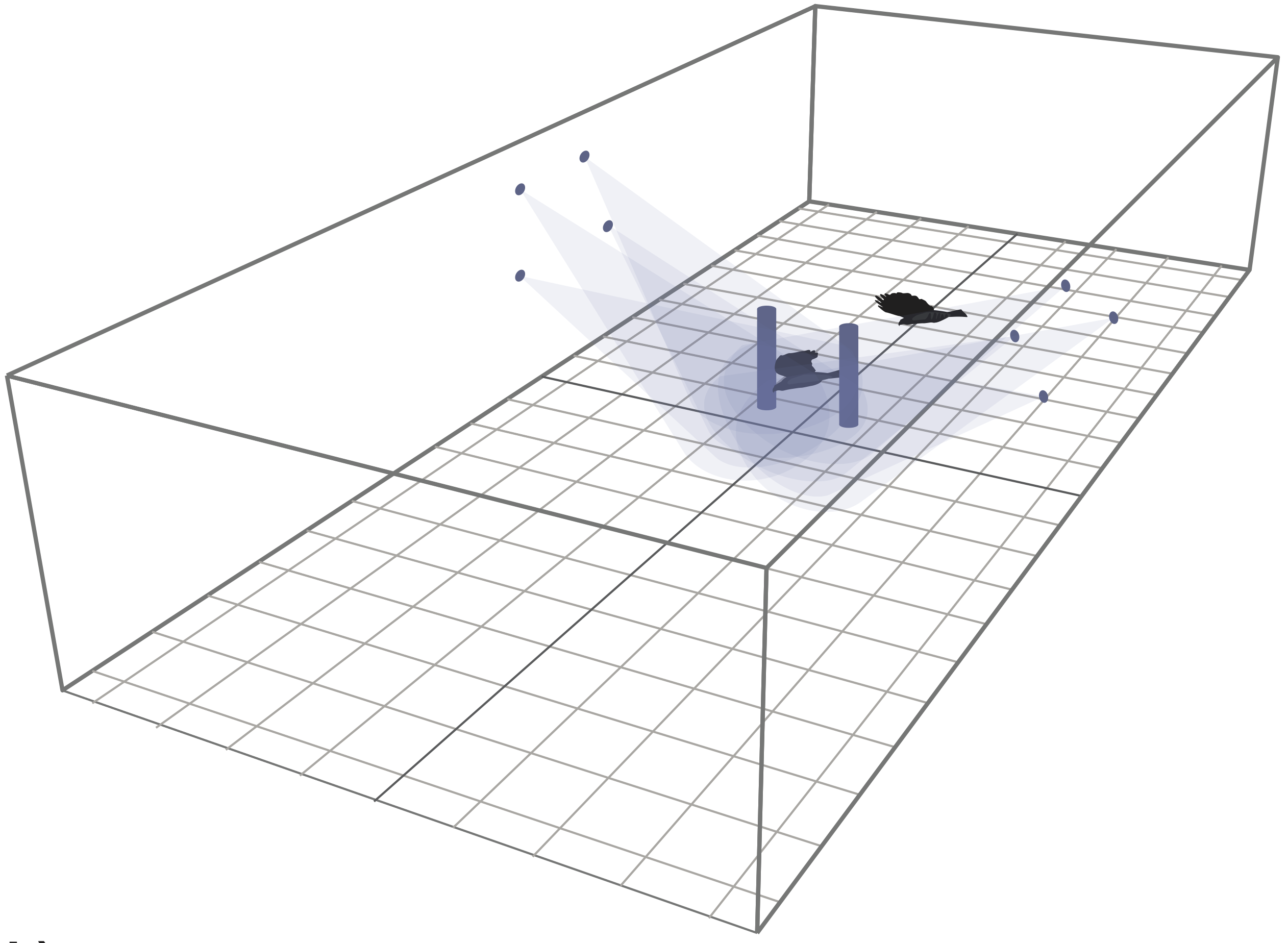 Photogrammetry