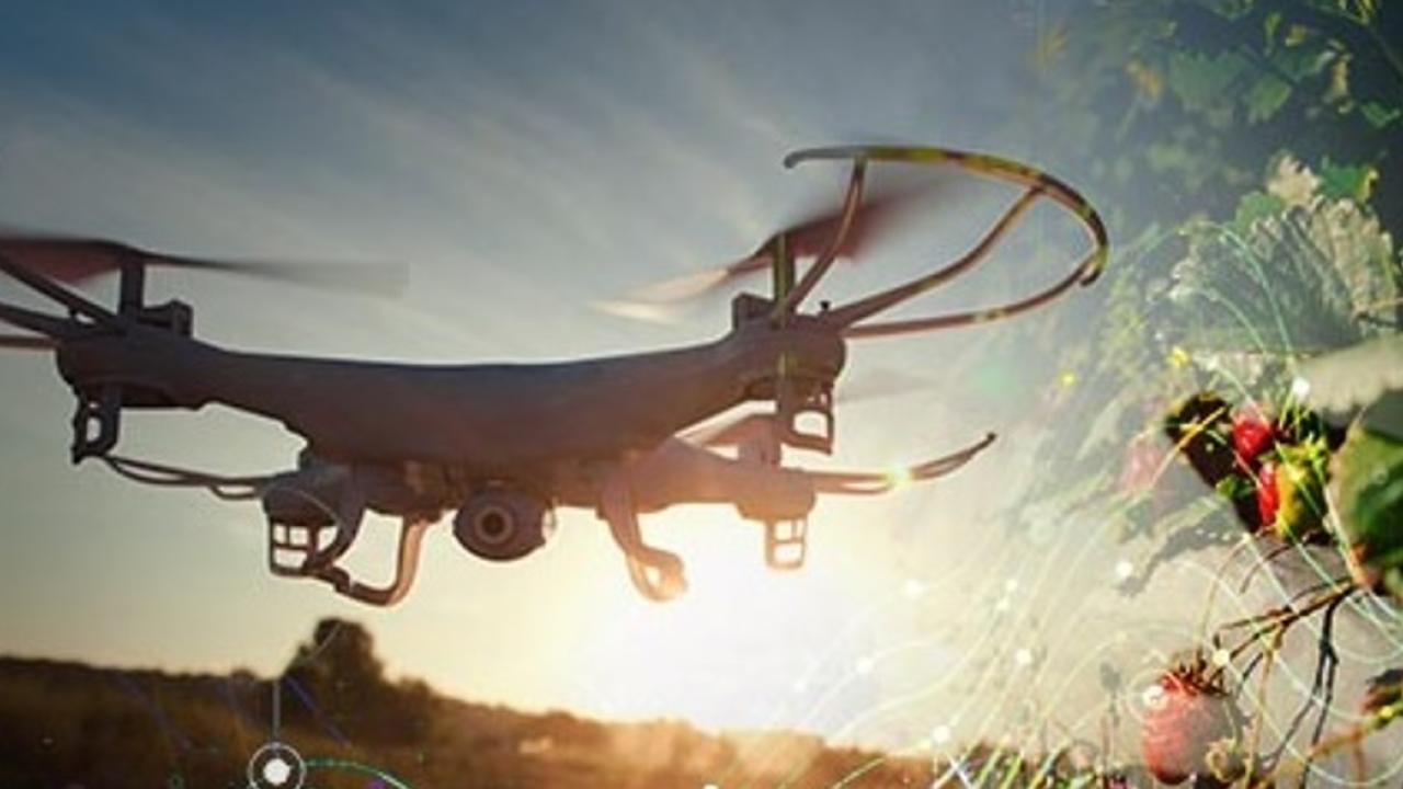 Drone
