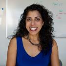 uc davis mechanical aerospace engineering computer science professor raissa dsouza physical review research