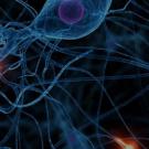 uc davis center neuroengineering mechanical aerospace sanjay joshi
