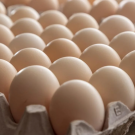Eggs in a cardboard tray