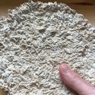 uc davis mechanical aerospace engineering mycelium composite structures valeria la saponara nitin nitin